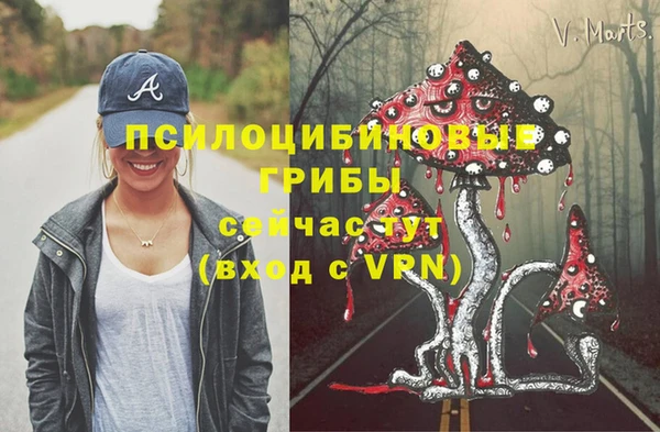 ешки Алзамай