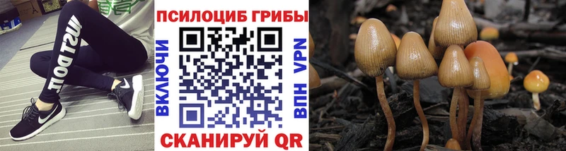 Галлюциногенные грибы MAGIC MUSHROOMS  Купить где  Выкса 