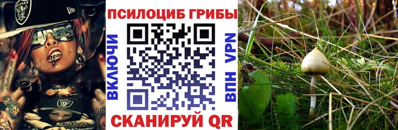 Псилоцибиновые грибы Cubensis Выкса